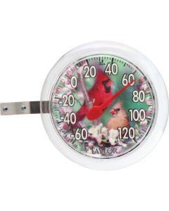 Taylor 6" Fahrenheit -60 To 120 Outdoor Wall Thermometer