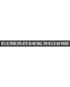 Skinnies 1.5 In. x 16 In. We'll Be Friends Until We're Old, Then We'll Be New Friends Wood Sign