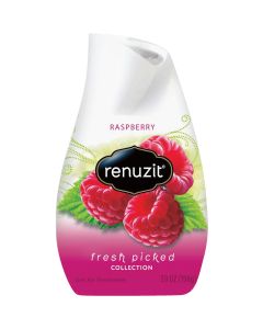 Renuzit 7 Oz. Raspberry Solid Air Freshener