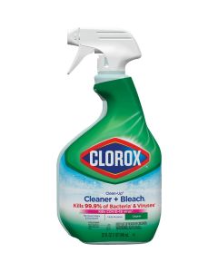 Clorox Cleaner
