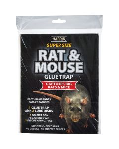 Harris Glue Rat & Mouse Trap