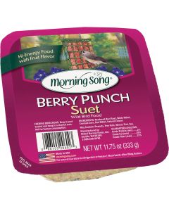 Morning Song 11.75 Oz. Berry Suet