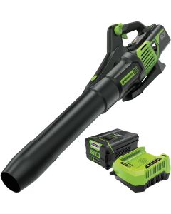 Greenworks 80V 730 CFM 170 MPH Handheld Leaf Blower with 2.5 Ah Battery & Rapid Charger