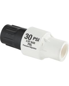 Raindrip 30 PSI 3/4 In. Pipe Thread Professional Pressure Regulator