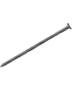 Grip-Rite 16d x 3-1/2 In. 9 ga Hot Galvanized Siding & Deck Nails (2600 Ct., 50  Lb.)