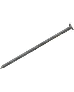 Grip-Rite 8d x 2-1/2 In. 11 ga Hot Galvanized Siding & Deck Nails (5300 Ct., 50  Lb.)