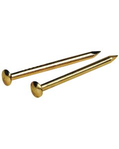 Hillman Anchor Wire 3/4 In. 16 ga 1.5 Oz. Brass Plated Steel Escutcheon Pins