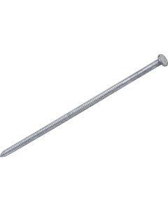 Grip-Rite 20d x 4 In. 7 ga Hot Galvanized Ring Shank Pole Barn Nails (1050 Ct., 30 Lb.)