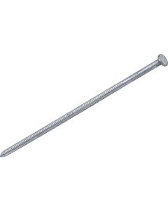 Grip-Rite 40d x 5 In. 7 ga Hot Galvanized Ring Shank Pole Barn Nails (840 Ct., 30 Lb.)