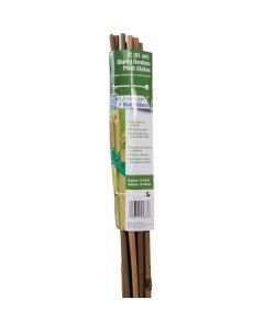 Gardener's Blue Ribbon 3 Ft. Bamboo Plant Stake (12-Pack)