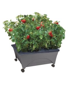 City Pickers 20 In. W. x 11 In. H. x 24 In. L. Slate Polyethylene Portable Patio Garden Kit