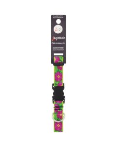 Lupine 3/4 In.  Petunias  9 In. to 14 In.  Adjustable Collar