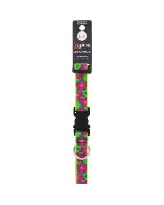 Lupine 1 In. Petunias  12 In. to 20 In.  Adjustable Collar