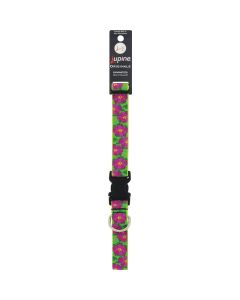 Lupine 1 In. Petunias  16 In. to 28 In.  Adjustable Collar