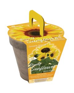 TotalGreen Holland Dwarf Sunflower Grow Kit