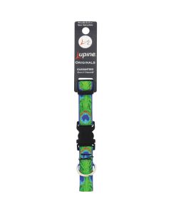 Lupine 3/4 In.  Tail Feather 9 In. to 14 In.  Adjustable Collar