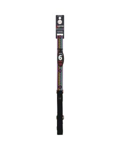 Lupine 1 In. x 6 Ft. El Paso Dog Leash