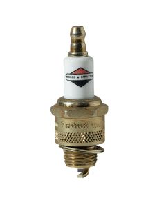 Briggs & Stratton 796560 Extended Life Platinum Spark Plug