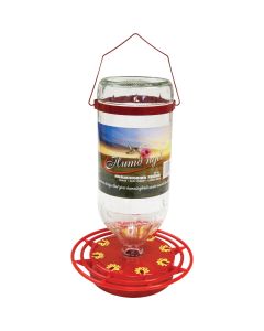 Humdinger 32 Oz. Glass Hummingbird Feeder