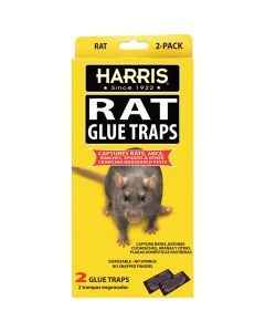 Harris Glue Rat & Mouse Glue Trap (2-Pack)