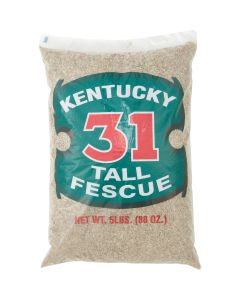 Barenbrug 5 Lb. 1000 Sq. Ft. Coverage Kentucky 31 Tall Fescue Grass Seed