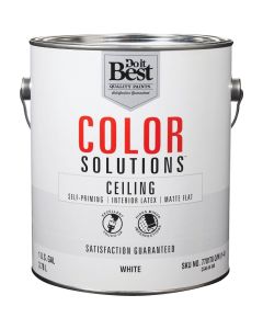 Do it Best Color Solutions Latex Self-Priming Flat Ceiling Paint, White, 1 Gal.