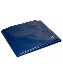 Formost Tarp 5'X7' Blue Econ