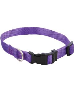 Westminster Pet Ruffin' it Adjustable 10 In. to 16 In. Nylon Dog Collar