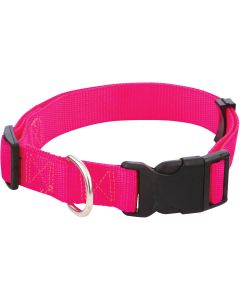 Westminster Pet Ruffin' it Adjustable 18 In. to 26 In. Nylon Dog Collar