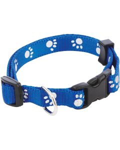 Westminster Pet Ruffin' it Reflective 8 In. to 12 In. Nylon Paw Print Dog Collar