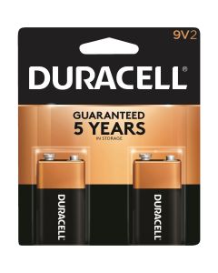 2pk 9v Alkaline Battery