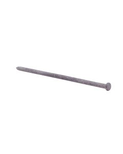 3/8" X 8" Galvanized Spike (200)