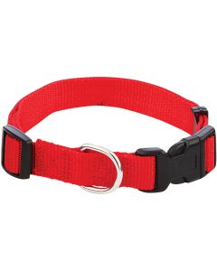 Westminster Pet Ruffin' it Adjustable 14 In. to 20 In. Nylon Dog Collar