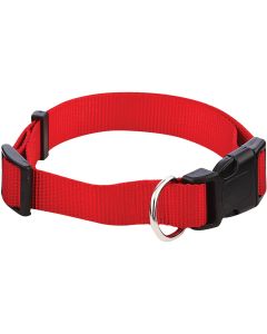 Westminster Pet Ruffin' it Adjustable 18 In. to 26 In. Nylon Dog Collar