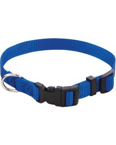 Westminster Pet Ruffin' it Adjustable 10 In. to 16 In. Nylon Dog Collar