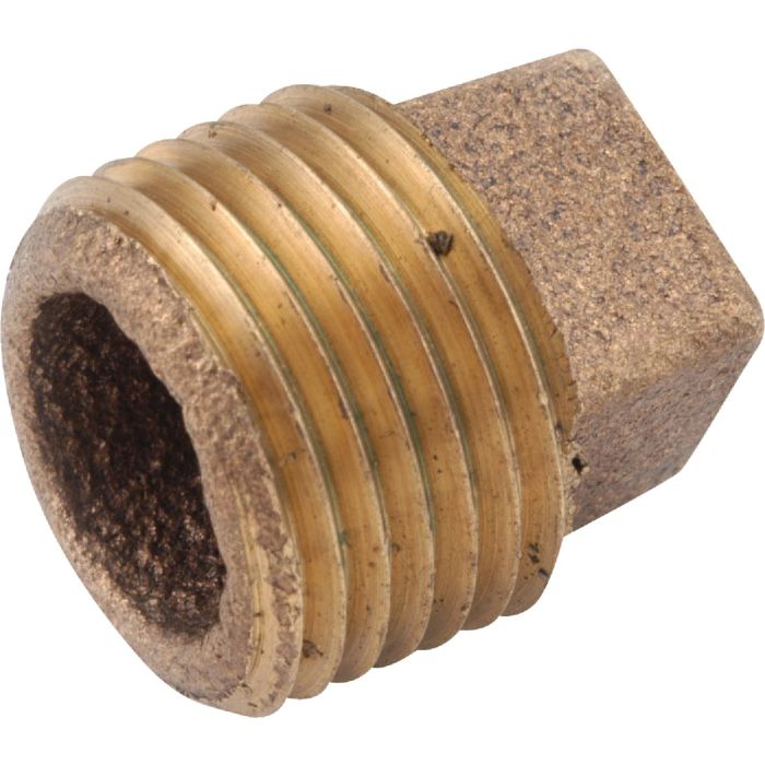 1/2" Brass Ipt Cored Pipe Plug