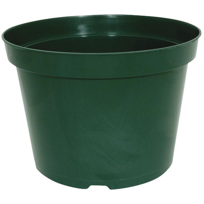 6" Green Grower Pot