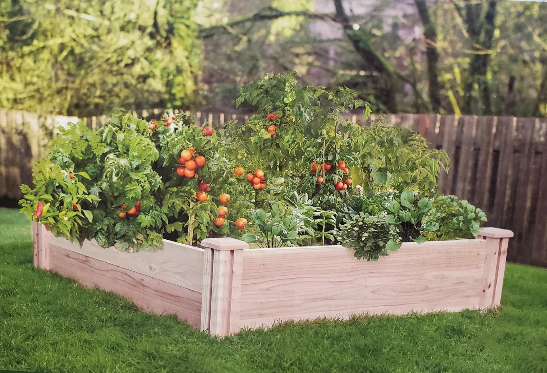 Raised Garden Bed Kit 4'X4' - Lumber Traders Inc